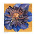 Blue Clematis