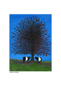 Belties in the Shade